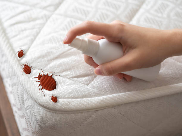 Best Cockroach Control Services  in Dawson, TX